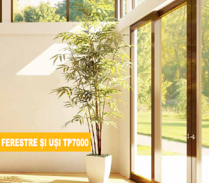 ferestre-si-usi-tp7000